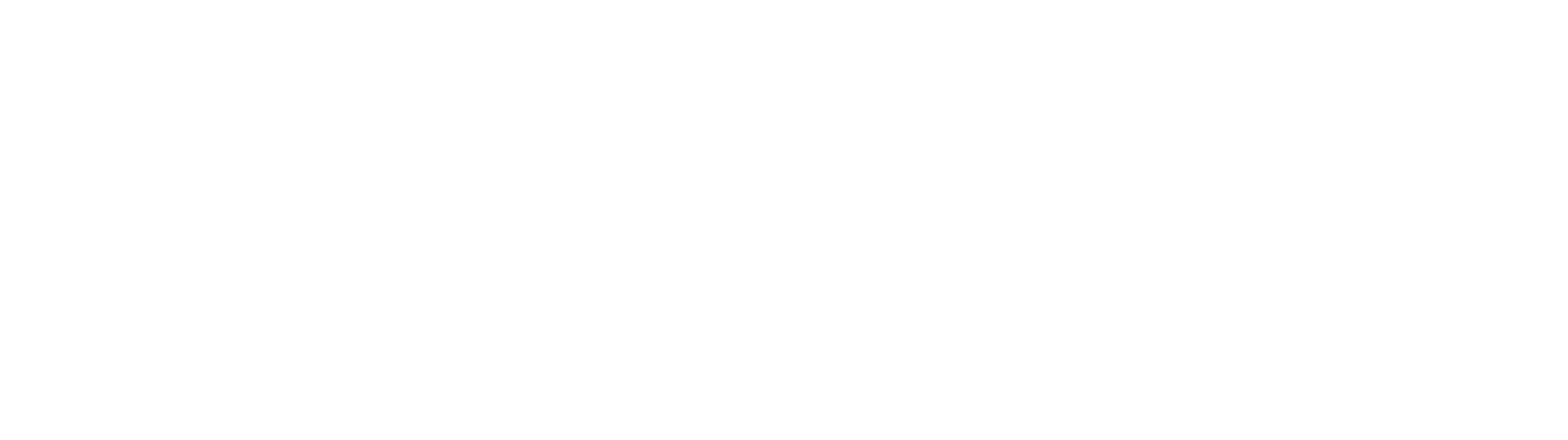 OneReg-white-logo
